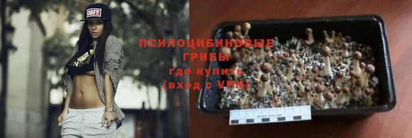прущие грибы Кинешма