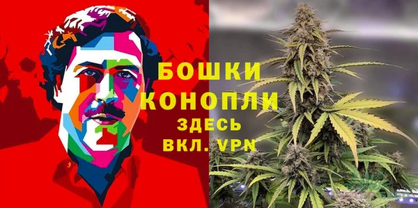 ПСИЛОЦИБИНОВЫЕ ГРИБЫ Костерёво
