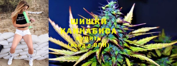 прущие грибы Кинешма