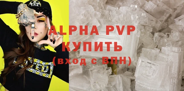 прущие грибы Кинешма