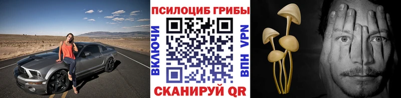 Галлюциногенные грибы Magic Shrooms  мега как зайти  Ливны 