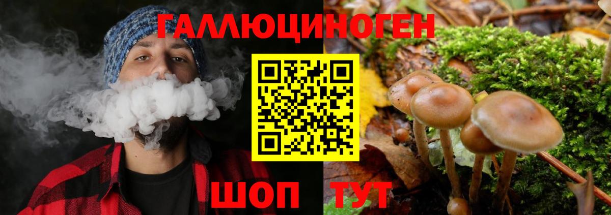 Псилоцибиновые грибы Psilocybe  Вход с VPN  Ливны  купить наркотики цена  Псилоцибиновые грибы Cubensis 